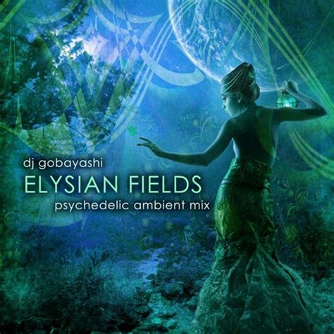 Elysian Fields - Una melodía ambiental que te transporta a un viaje onírico y contemplativo lleno de texturas etéreas